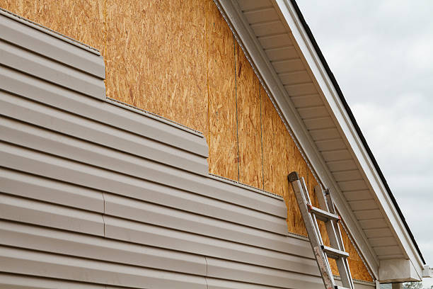 Professional Siding Inspection technician working in Worthington, OH